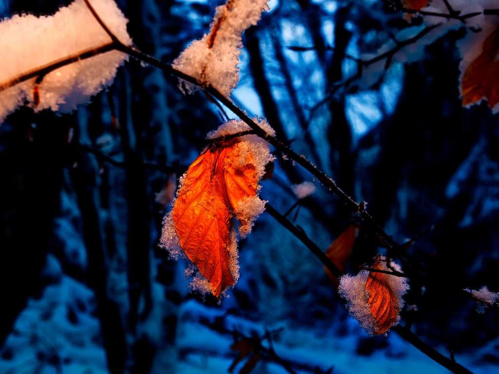 Faszinierendes Farbenspiel im Winter von Paul Trenkle