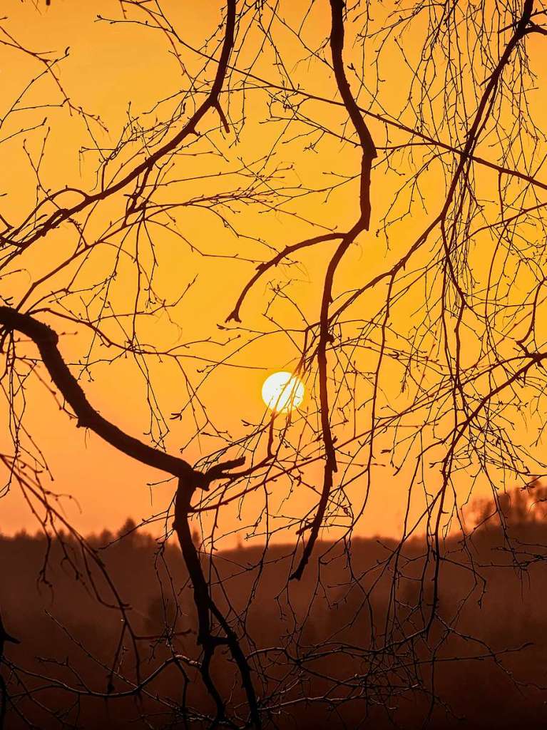 Auch Paul Trenkle nutzte das besondere Licht, das der Saharastaub in der Atmosphre zaubert. Fr den Boden eine guter Dngung, wenn es regnet, fr Autofahrer eine weniger erfreuliche Angelegenheit, steht dann die Fahrt in die Waschanlage an.