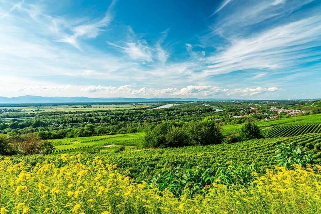 Die Vielseitigkeit mit Weinbau und Rhe...ter der Marke Sdschwarzwald bewerben.  | Foto: spiegelhalter michael kontakt@sp