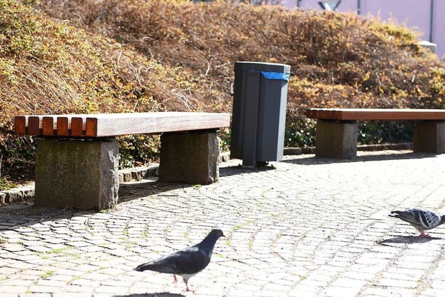 In Kirchzarten gibt es gnstige Sitzb...te fr vollkommen ausreichend halten.  | Foto: Rita Eggstein