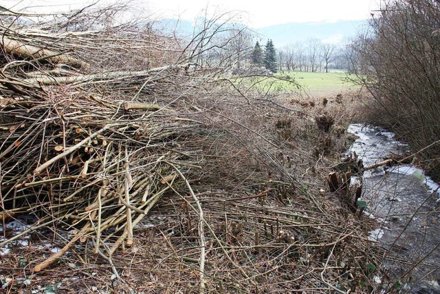 Ziemlich konsequent &#8222;auf den Sto...etzt wurden die Ufergehlze bei Ebnet.  | Foto: privat