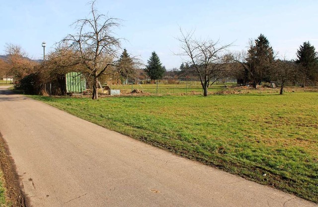 An der Rheinbadstrae entsteht in Schw...stlich  beim Bahnbergang Rheinstrae.  | Foto: Rolf Reimann