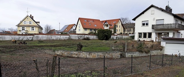 Dieses private Grundstck  beim Klemmbach in Mllheim wurde gerodet.  | Foto: Alexander Huber