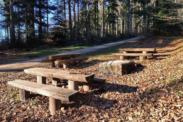 Die Langenebene-Htte bei Kandern wird wieder aufgebaut