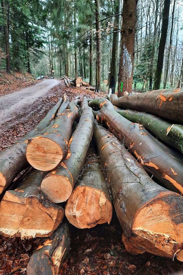 Einige Polter liegen schon bereit fr die Bestellkunden.   | Foto: Ekkehard Klem