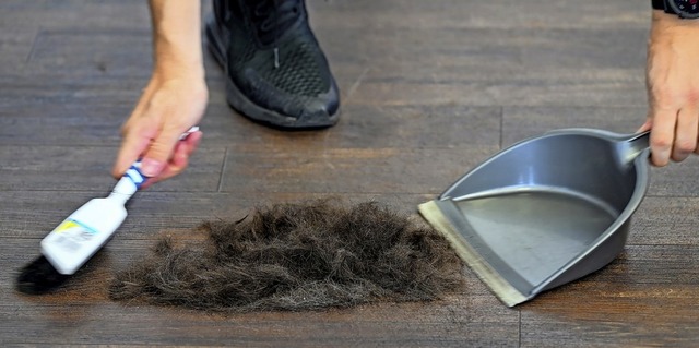 Wo geschnitten, da fallen Haare: Seit ...in den Friseursalons wieder gewerkelt.  | Foto: Arne Dedert (dpa)