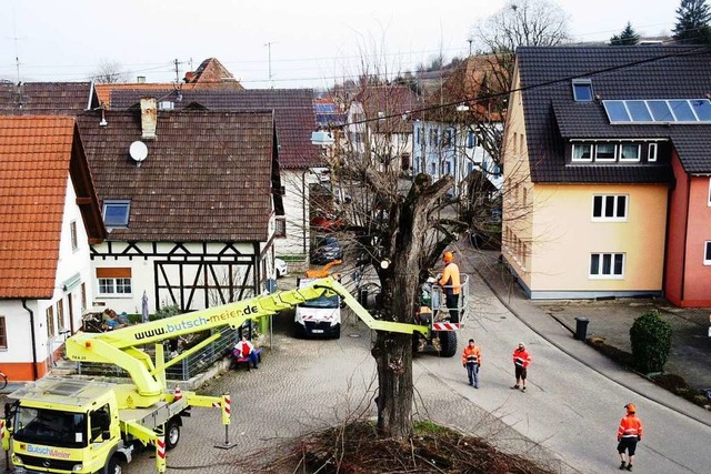 Per Hubsteiger wurde die Dorflinde  erst gestutzt und dann gefllt.  | Foto: Reiner Merz