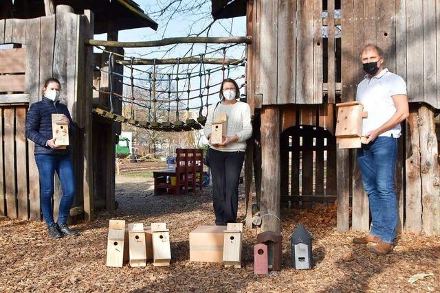 Kita-Kinder aus Rheinfelden bauen Nistksten fr Fledermuse