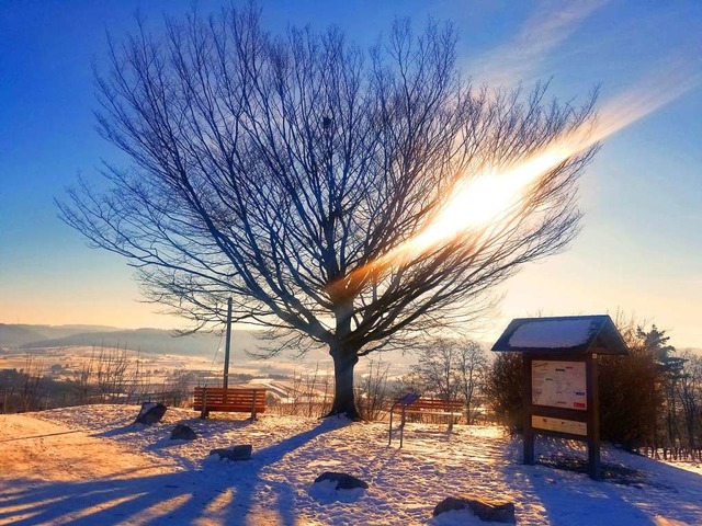 Der Heuberg in Ettenheim im Februar  | Foto: Patrick Ohnemus