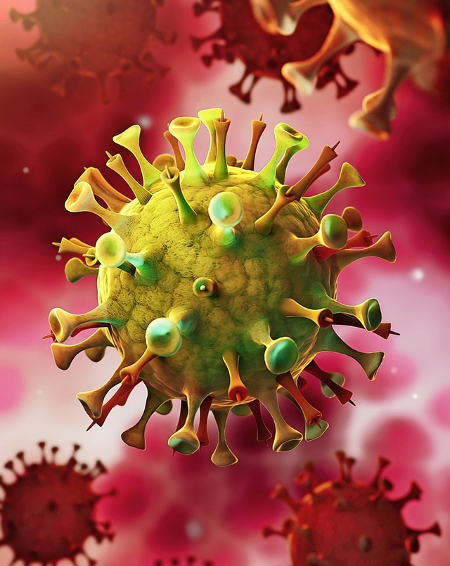 Modelle des Coronavirus  | Foto: peterschreiber.media  (stock.adobe.com)