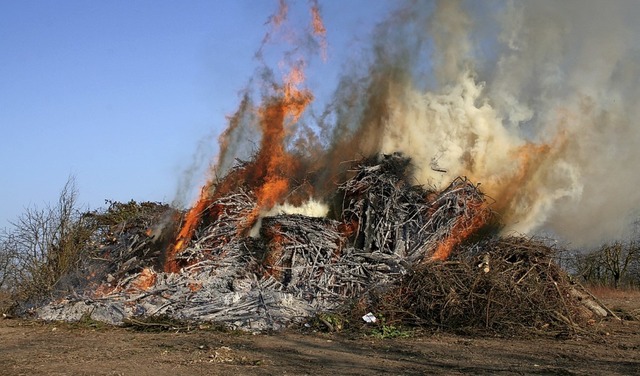 In Hoffnung auf ein Scheibenfeuer wurde seit November Reisig gesammelt.  | Foto: Rainer Vomstein