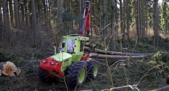 Die Mechanisierung der Waldwirtschaft soll vorangetrieben werden.   | Foto: Karl Meister