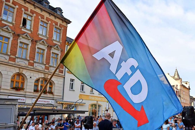 Die AfD wird zum sogenannten Verdachtsfall.  | Foto: Hendrik Schmidt (dpa)