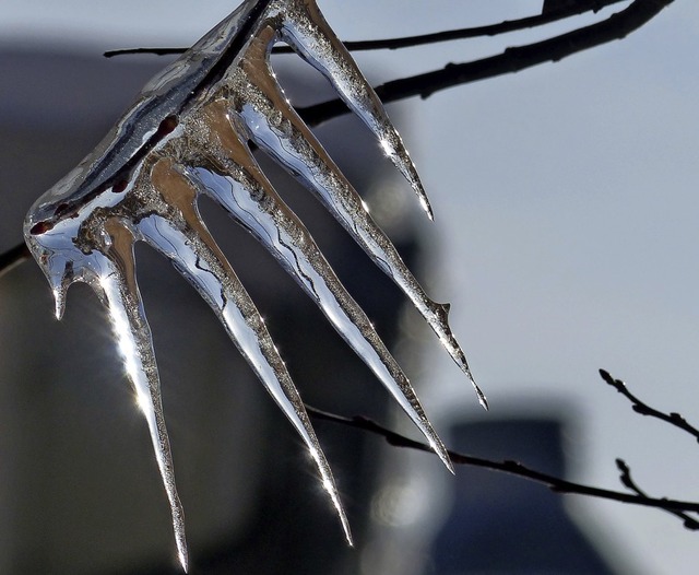 Mit eisiger Hand zeigte sich zeitweise der Winter.   | Foto: Wolfgang Zengler