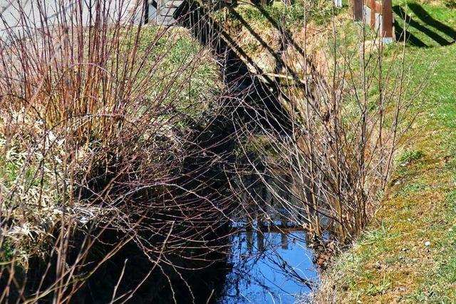 Der Dorfbach in Brombach soll einen Kanal bekommen