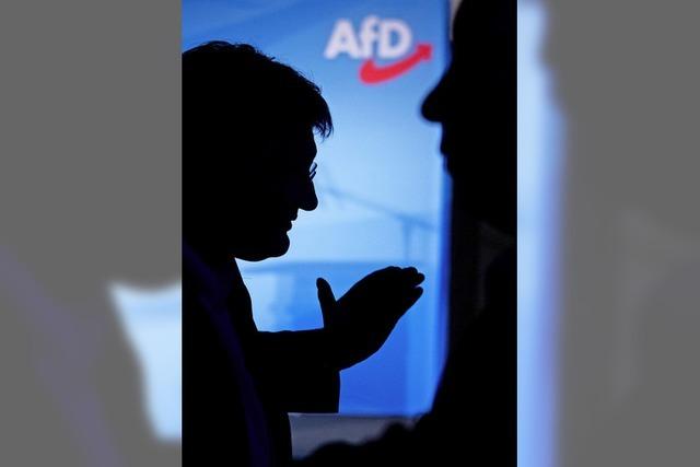 Verfassungsschutz hat AfD im Visier