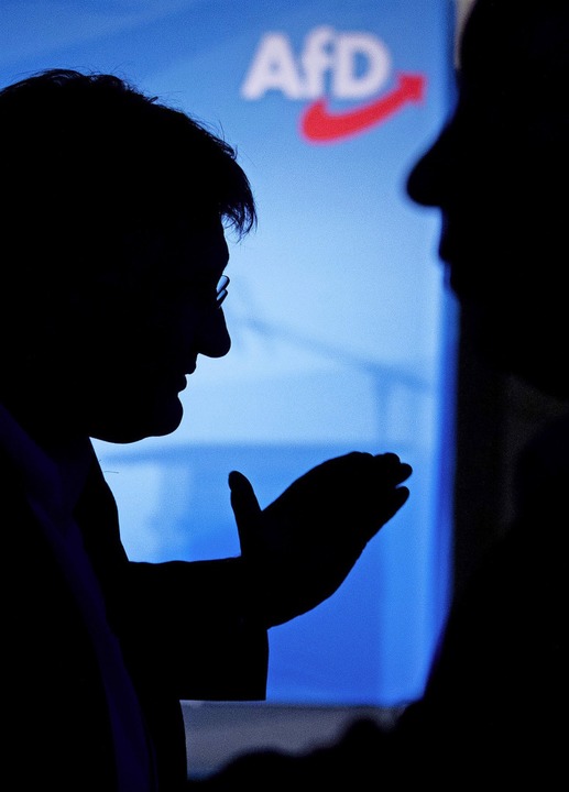 Im Zwielicht: AfD-Co-Chef Jrg Meuthen bei einem Parteitag  | Foto: Christoph Soeder (dpa)