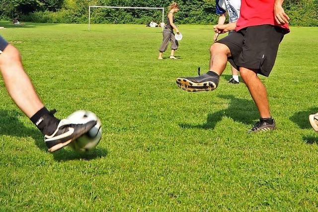 Knftig gibt’s drei Bolzpltze im Freiburger Seepark