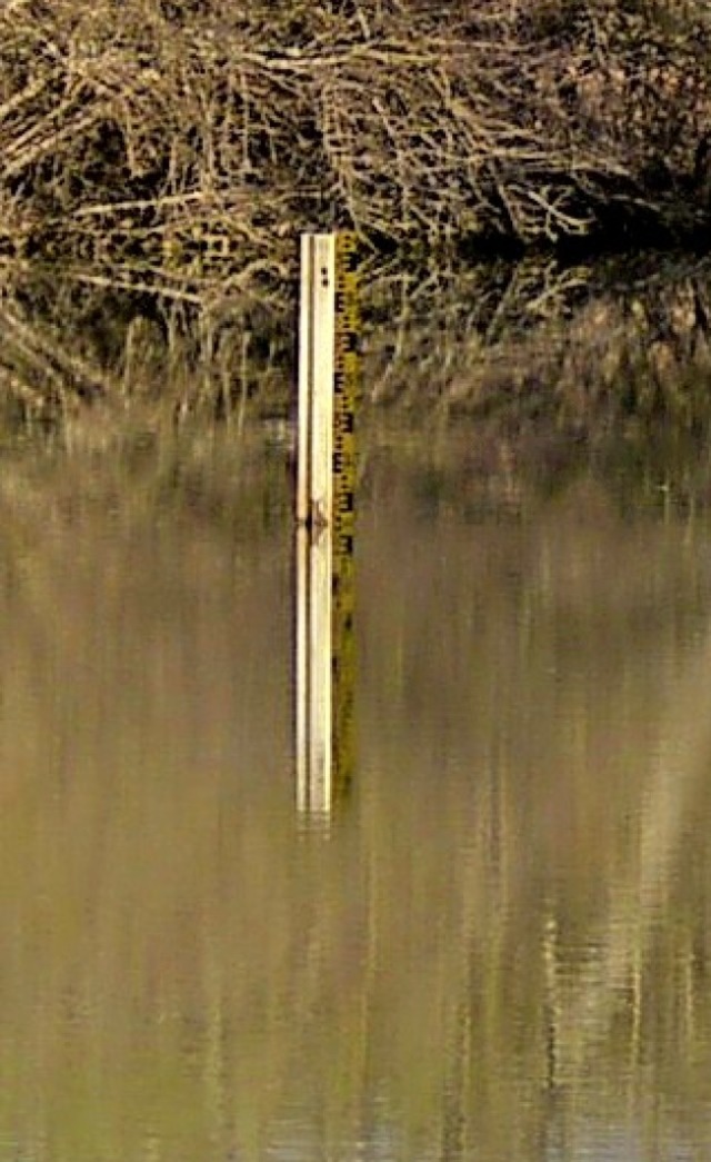 Die Pegelmesslatte im Eichener See soll an die tiefste Stelle versetzt werden.   | Foto: Edgar Steinfelder
