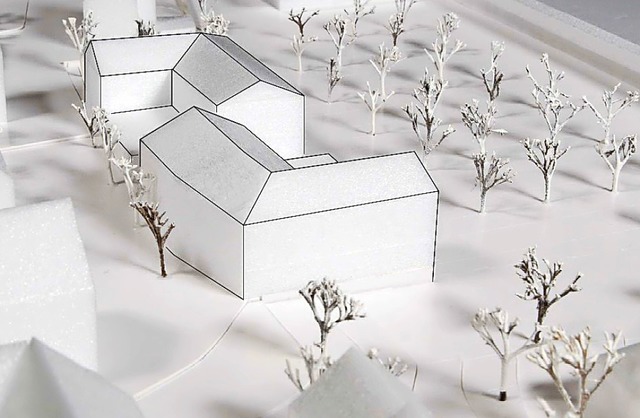 Ein Modell des Architekturbros Mller...erkirch zeigt ein rztehaus in L-Form.  | Foto: Mller und Huber Architekturbro