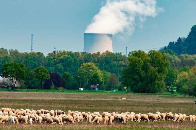 Bund zahlt fr Atomausstieg rund 2,4 Milliarden Euro an Energieversorger