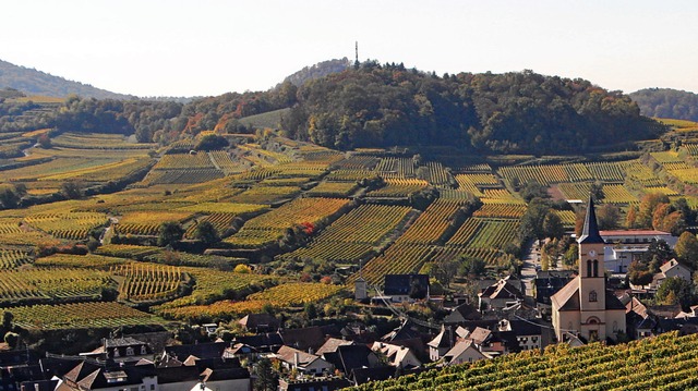 Ein Blick vom Badberg auf das Flurneuordnungsgebiet Lerchenberg.  | Foto: Herbert Trogus