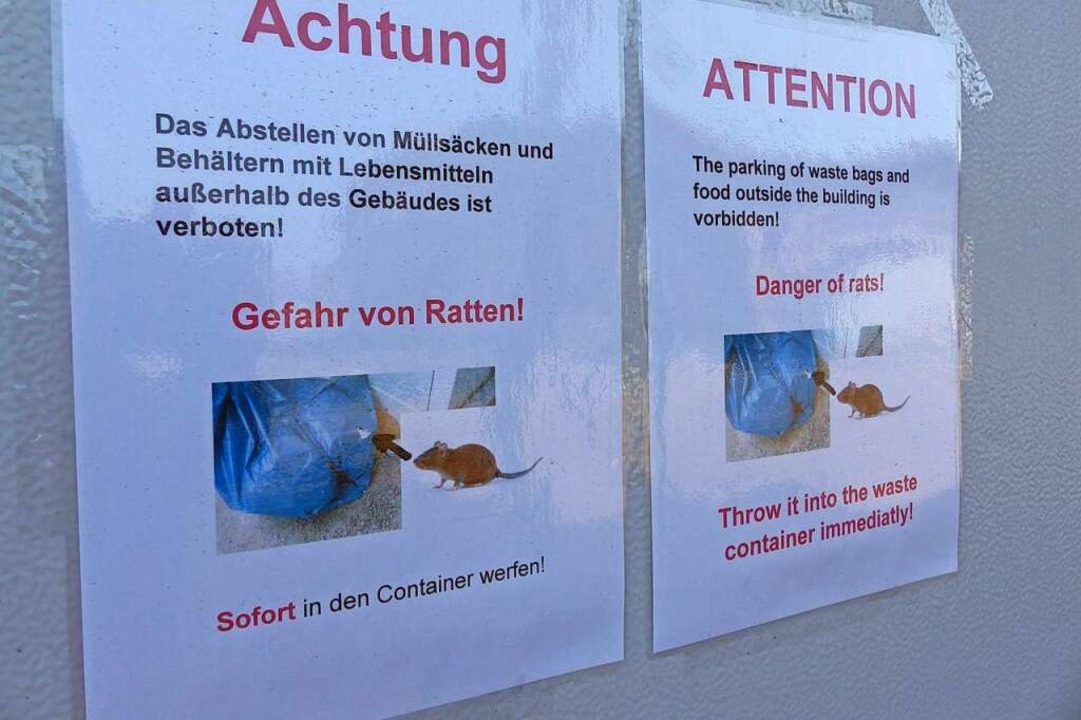 Auf Deutsch und Englisch wird darauf h...tonnen und im Container  zu entsorgen.  | Foto: Sattelberger