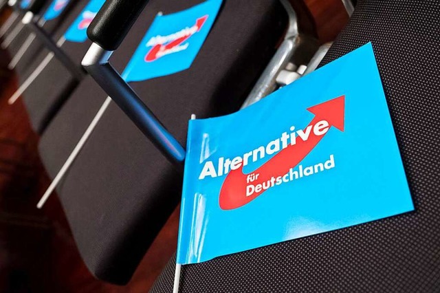 Die Klage der AfD richtet sich gegen Regierung und Landtag (Symbolbild)  | Foto: Peter Steffen (dpa)