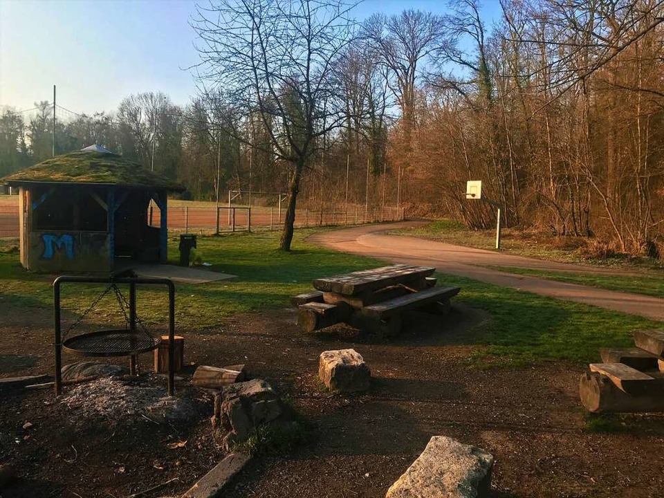 Im Sommer ist am Moosweiher mehr los.  | Foto: David Pister