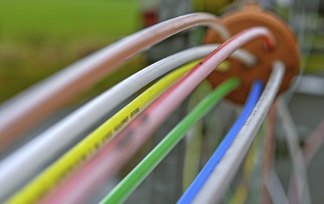 Glasfaserleitungen sollen in Riegel un...ald bis an jedes Haus verlegt werden.   | Foto: Patrick Pleul (dpa)