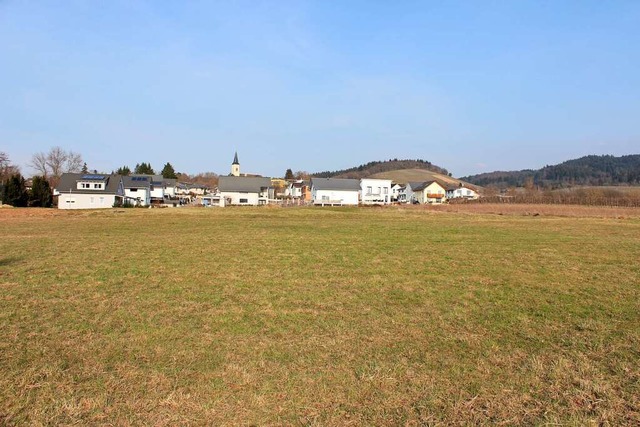 Das geplante Baugebiet Holzweg IV besc...Dottingens bereits seit vielen Jahren.  | Foto: Jennifer Ruh