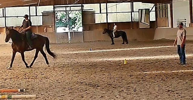 Simone Stadie, die Vorsitzende des Rei...portvereins,  bei einem Reitlehrgang.   | Foto: Privat