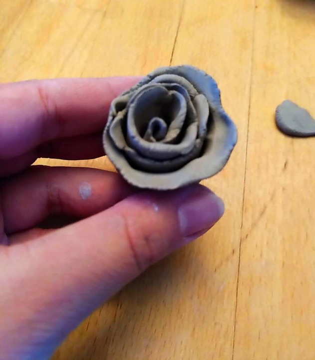 Rose  | Foto: Anna Castro Ksel