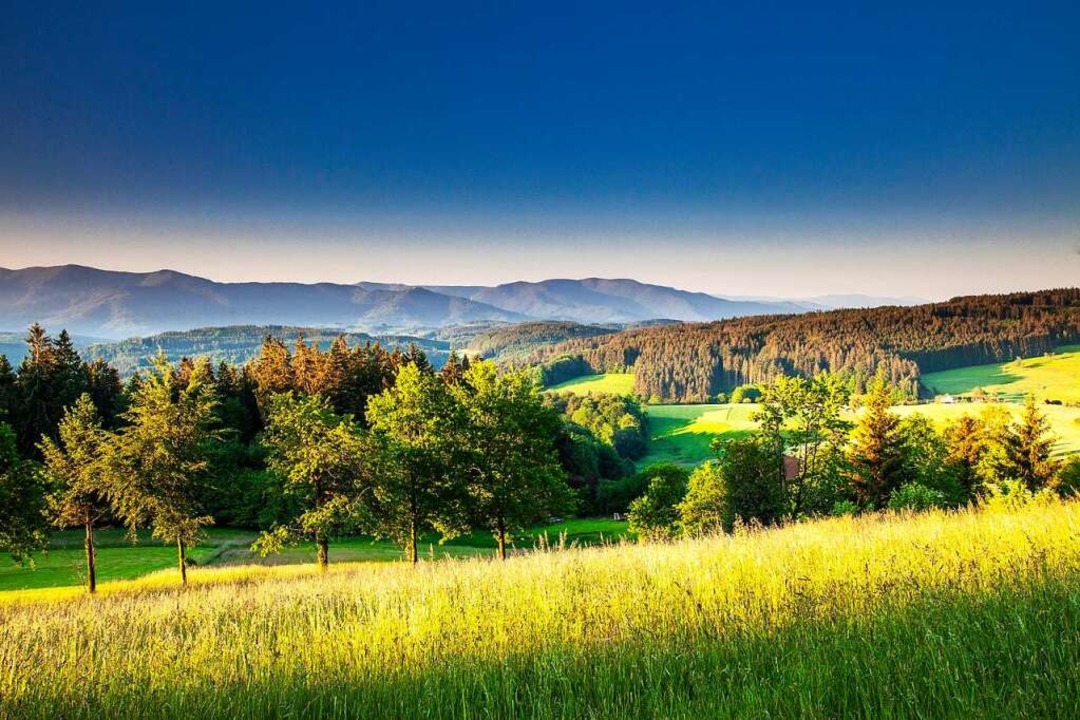 Berge, Wiesen, Wälder, weiter Himmel: ...t es im &#8222;Zweitälerland&#8220;.    | Foto: Clemens Emmler