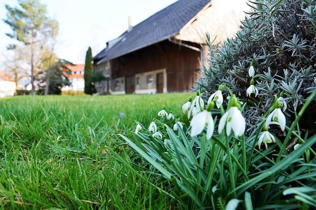 Der Gemeinderat lehnte den Bau von dre...grund ist das Gasthaus Bren zu sehen.  | Foto: Kathrin Blum