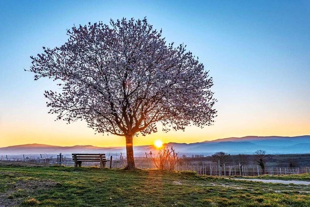 Sonnenaufgang am Tuniberg.  | Foto: Bernd Wehrle