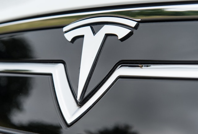 Das Tesla-Logo  | Foto: Patrick Seeger (dpa)