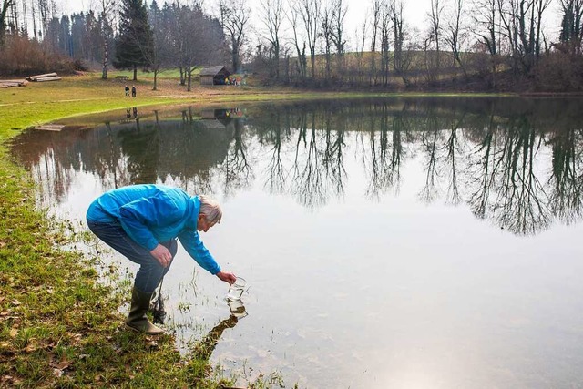 Hartmut Heise steht im Eichener See und fischt Urzeitkrebse vom Grund.  | Foto: Philipp von Ditfurth (dpa)