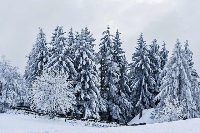 Nach den fast frhlingshaften Tagen wird es noch einmal winterlich im Sdwesten.  | Foto: Andrea Schiffner