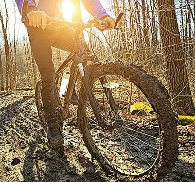 Nicht in Weil: MTB-Trail im Wald  | Foto: Repro: BZ