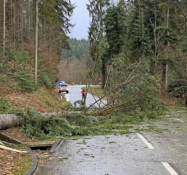 Ein Baum blockierte die  Strae beim Auhof.   | Foto: Feuerwehr Kenzingen