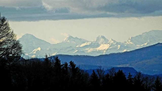 Alpenblick  | Foto: Gerald Nill