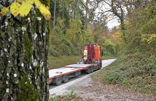 Waldbesitz entlang von Straen bedeute... Herbst groflchige Hiebe angesagt.    | Foto: suedkurier