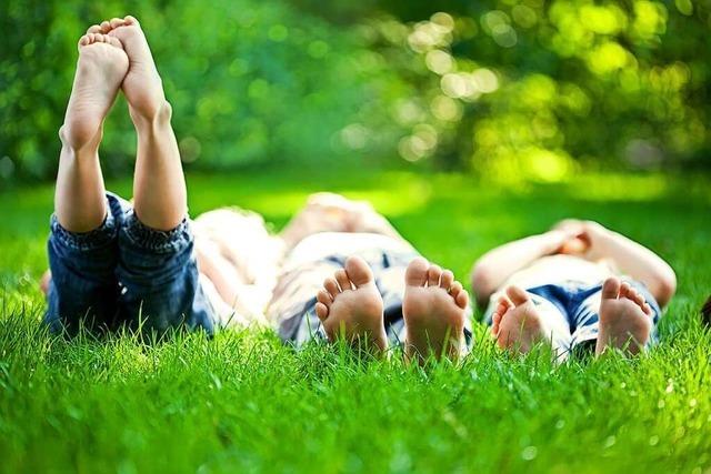 Ein Naturkindergarten, damit Kinder Natur erleben knnen