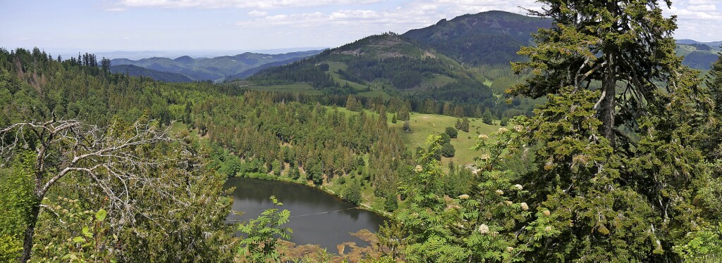 Developing nature on the Belchen – Schönau