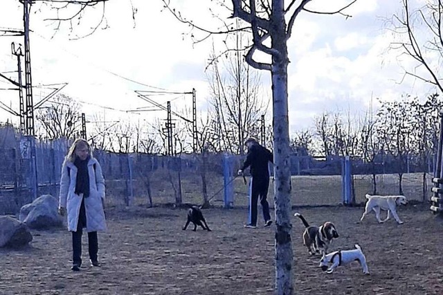 So wie der Hundespielplatz im Gleisdre...burg fr diesen Zweck genutzt werden.   | Foto: Sigrun Lwisch