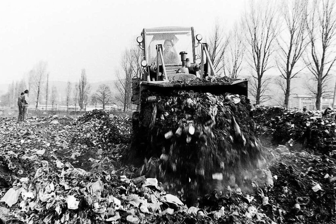 Aus dem Müllberg wird ein Müllhochplat...llhügel an der Elz. Ein Bild von 1964.  | Foto: Armin E. Möller