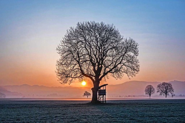 Feld bei Kirchzarten  | Foto: Kathrin Blum