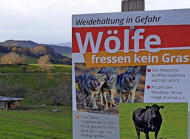 Wie umgehen mit dem Wolf?  | Foto: Frank Schoch