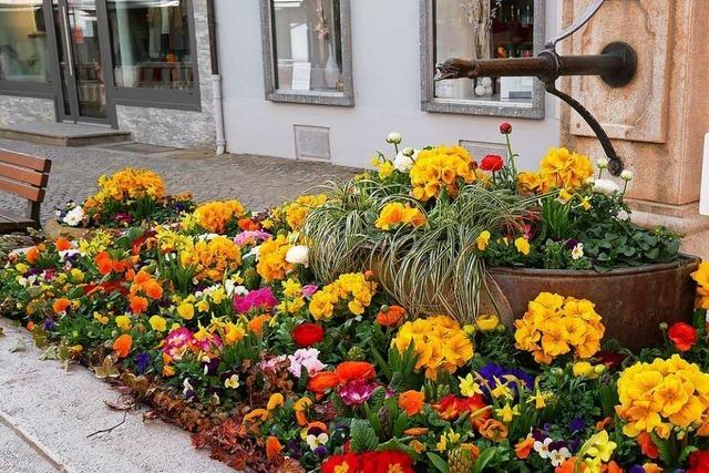 In Schopfheim gibt es viele Ideen fr die trockengelegten Brunnen